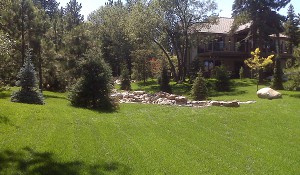 Lawn in Big Bear, California