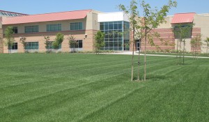 business lawn in Jurupa Hills, California