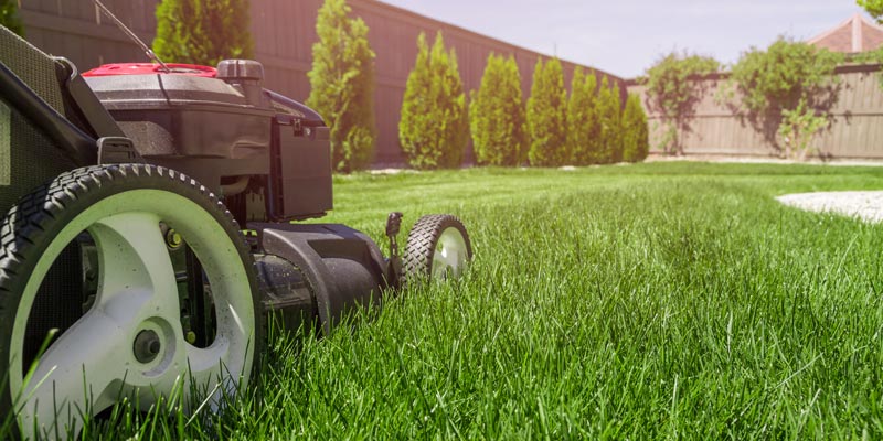 Lawn mower cutting grass