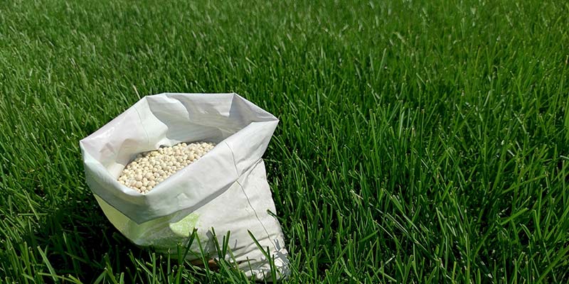 Bag of fertilizer sitting on a lawn