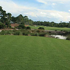 A natural grass field of drought tolerant Bermuda installed by A-G Sod Farms