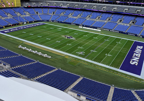 The Baltimore Ravens football field that uses natural grass