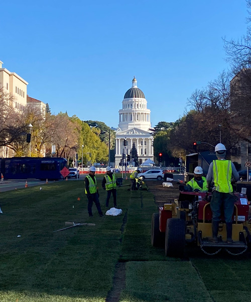 Natural grass being installed on Capitol Mall in Sacramento, CA.