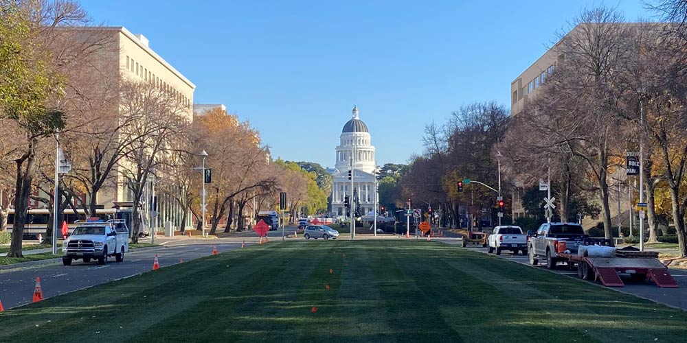 The Sacramento Capitol Mall Rejuvenation ElitePlus Fescue Bluegrass Installation