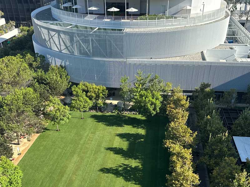 The Universal Studios Special Events Lawn Installs New Fescue Grass Lawn
