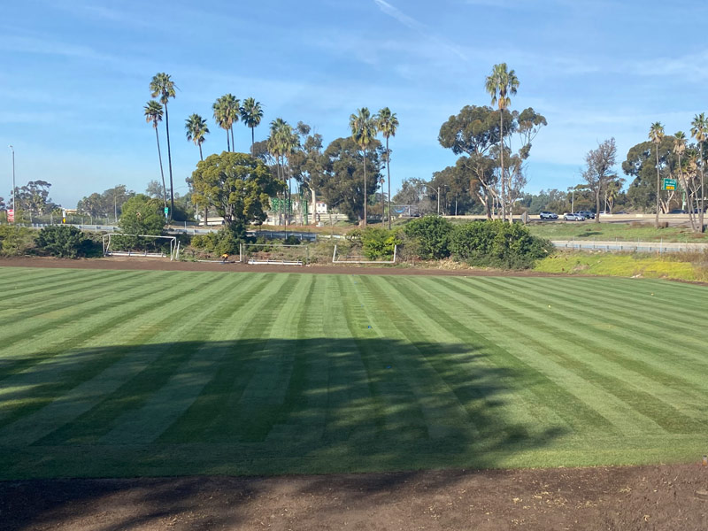 San Diego City College Renovates Soccer Field with Ball Park Blend Natural Grass