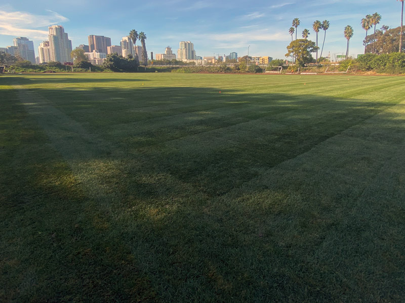 Newly placed natural grass soccer field at San Diego City College, home of SD City Knights soccer team.